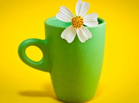flower cup 1920x1080