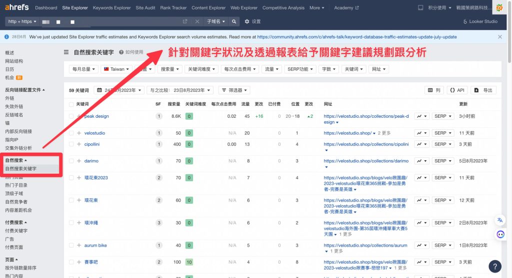 SEO網站分析線上會議戰國策集團