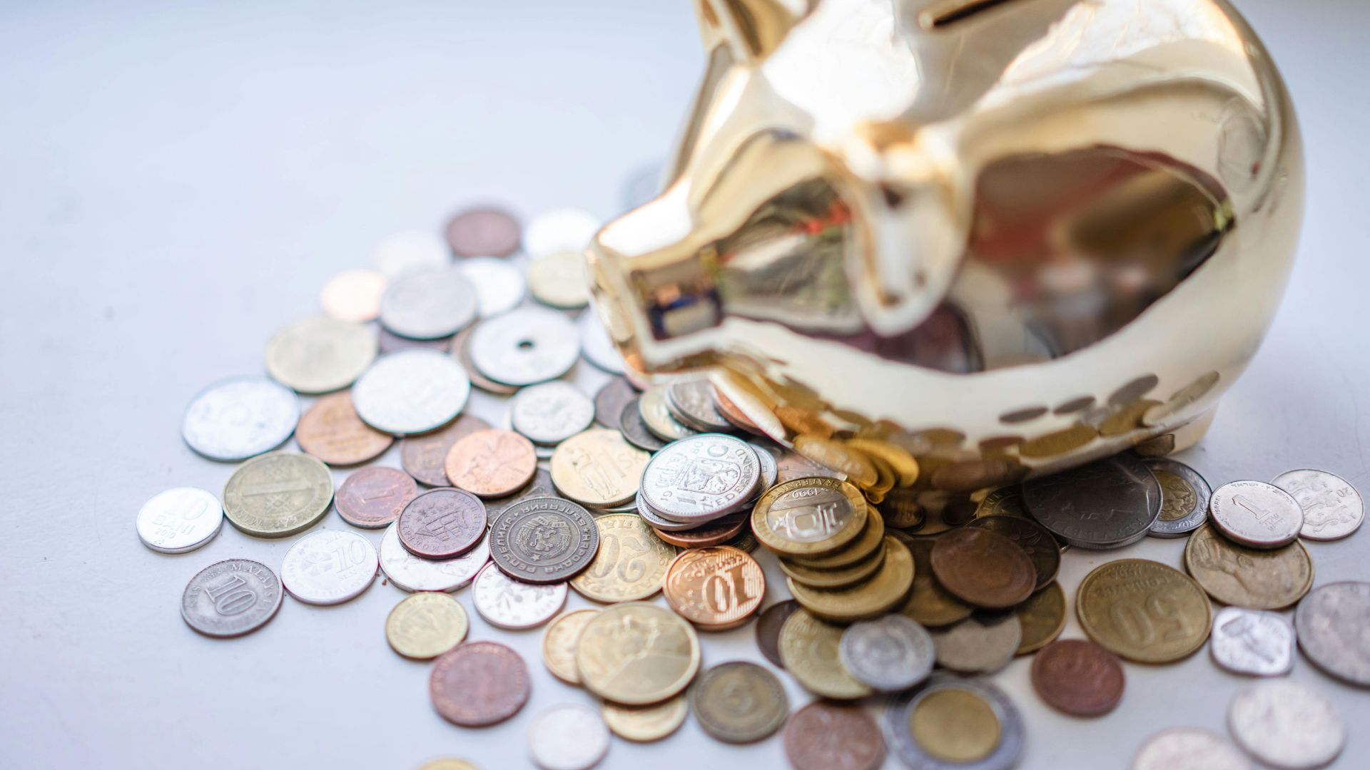 Bank number registration行號登記費用