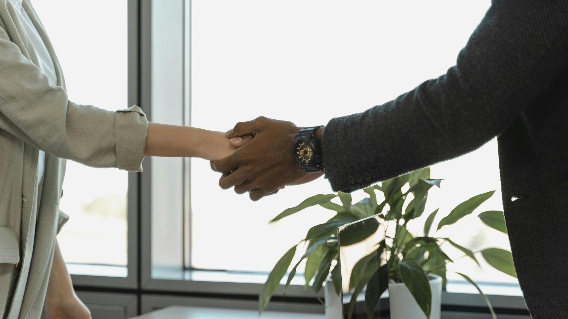 Benefits of setting up a studio成立工作室專業服務