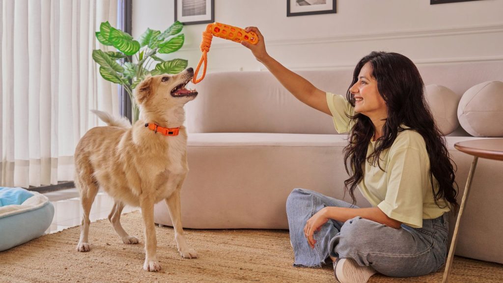 寵物用品行銷戰略：資深顧問教你如何增加客戶與生意戰國策集團