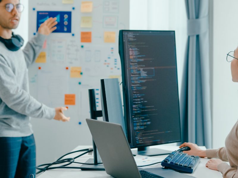 程式開發維護費用