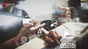 數位轉型戰略：CTO 必備的 2026 資訊顧問評估框架與成本分析戰國策集團